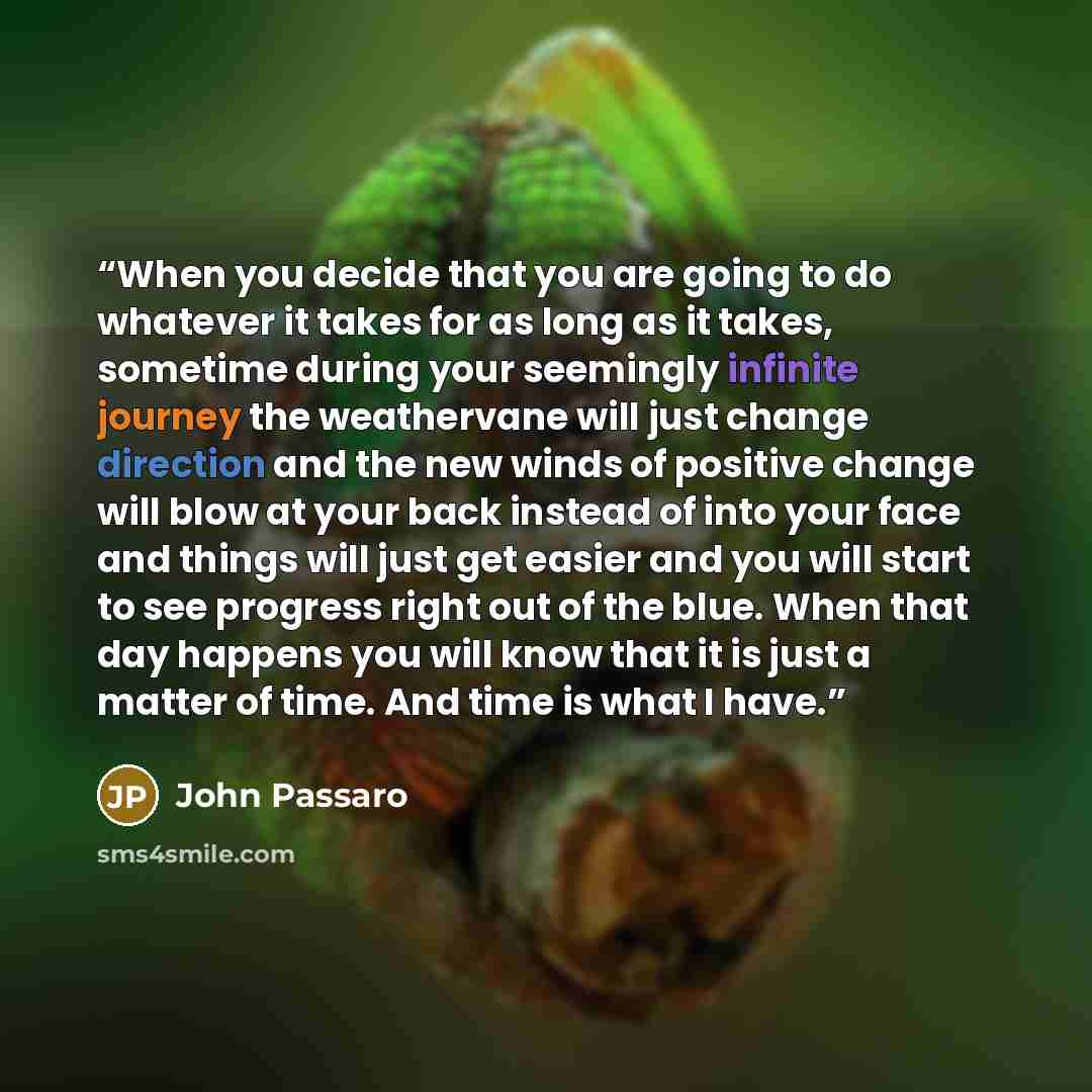 “When you decide that you are going to do whatever it takes for as long as it takes, sometime during your seemingly infinite journey the weathervane will just change direction and the new winds of positive change will blow at your back instead of into your face and things will just get easier and…” quote by John Passaro