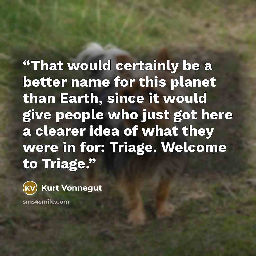 “That would certainly be a better name for this planet than Earth, since it would give people who just got here a clearer idea of what they were in for: Triage. Welcome to Triage.” quote by Kurt Vonnegut