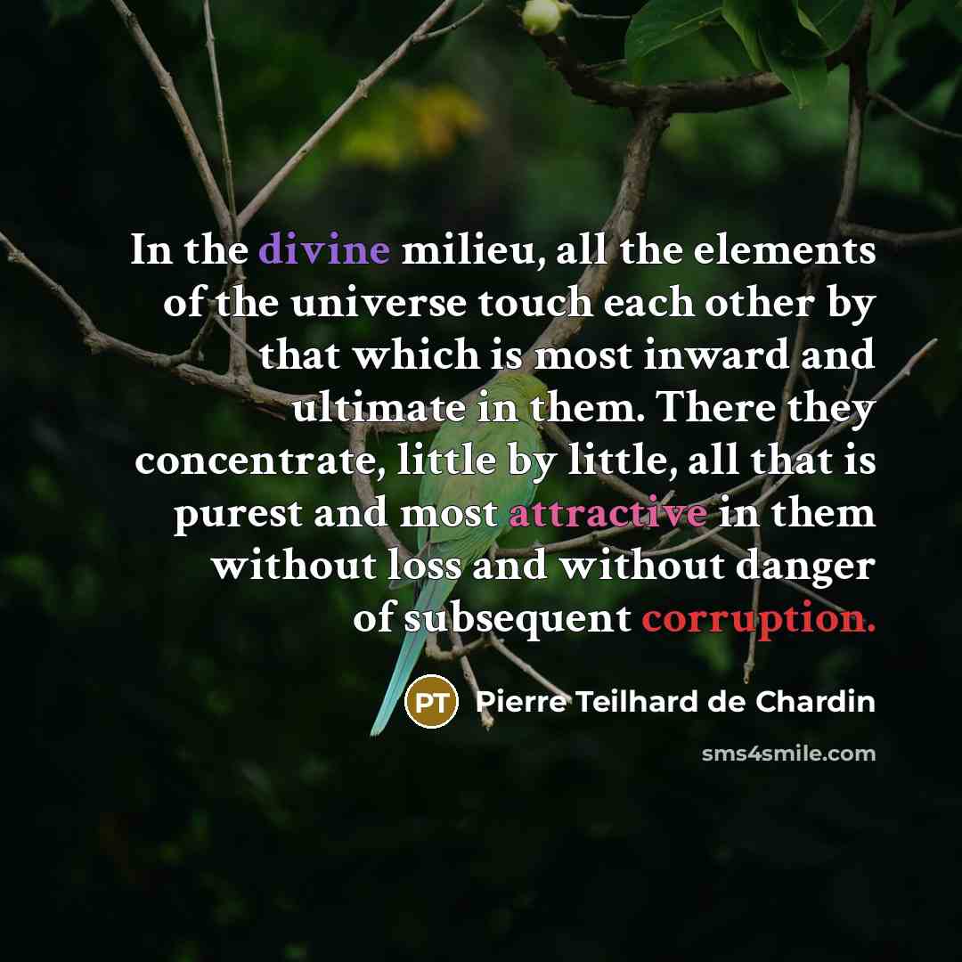 “In the divine milieu, all the elements of the universe touch each other by that which is most inward and ultimate in them. There they concentrate, little by little, all that is purest and most attractive in them without loss and without danger of subsequent corruption.” quote by Pierre Teilhard de Chardin