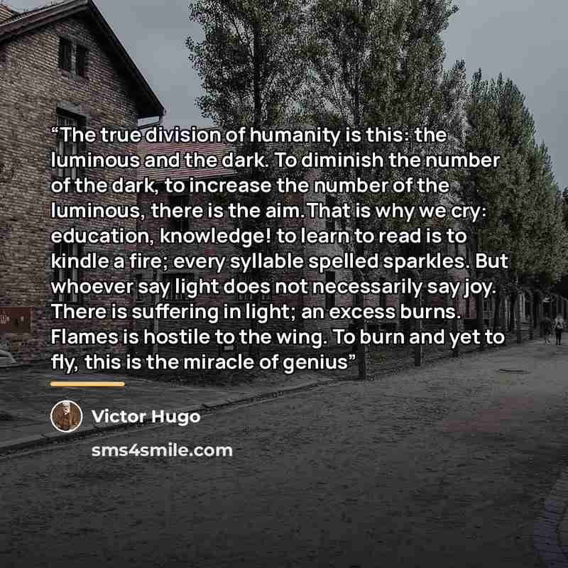 “The true division of humanity is this: the luminous and the dark. To diminish the number of the dark, to increase the number of the luminous, there is the aim.That is why we cry: education, knowledge! to learn to read is to kindle a fire; every syllable spelled sparkles. But whoever say light does…” quote by Victor Hugo