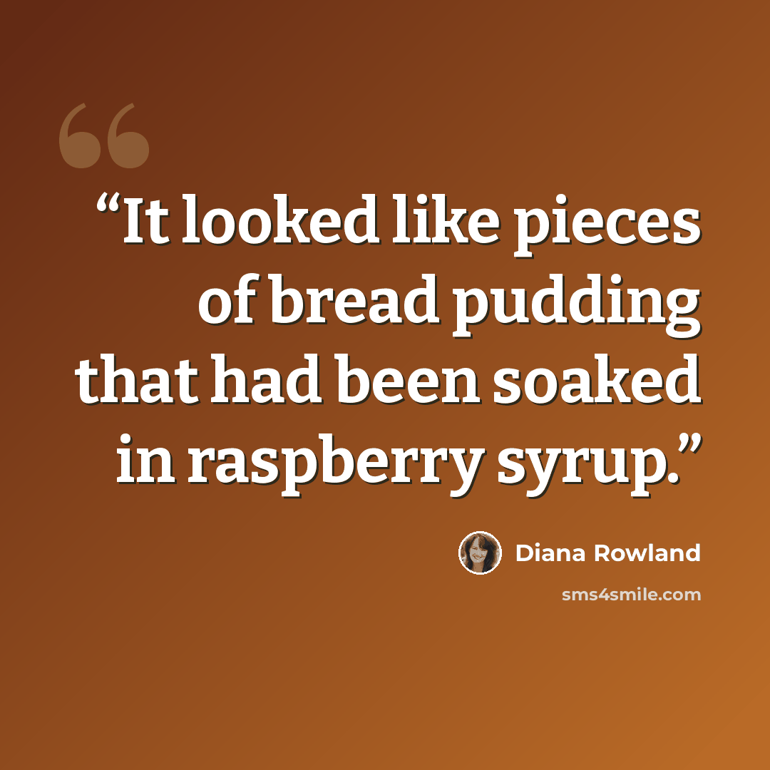 “It looked like pieces of bread pudding that had been soaked in raspberry syrup.” quote by Diana Rowland