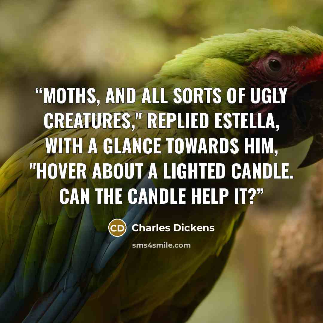 “Moths, and all sorts of ugly creatures," replied Estella, with a glance towards him, "hover about a lighted candle. Can the candle help it?” quote by Charles Dickens
