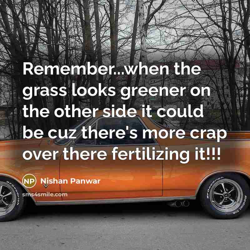 “Remember...when the grass looks greener on the other side it could be cuz there's more crap over there fertilizing it!!!” quote by Nishan Panwar