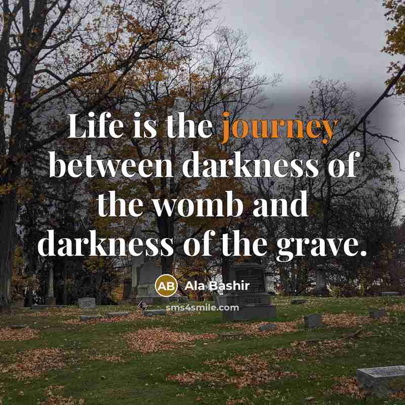 “Life is the journey between darkness of the womb and darkness of the grave.” quote by Ala Bashir