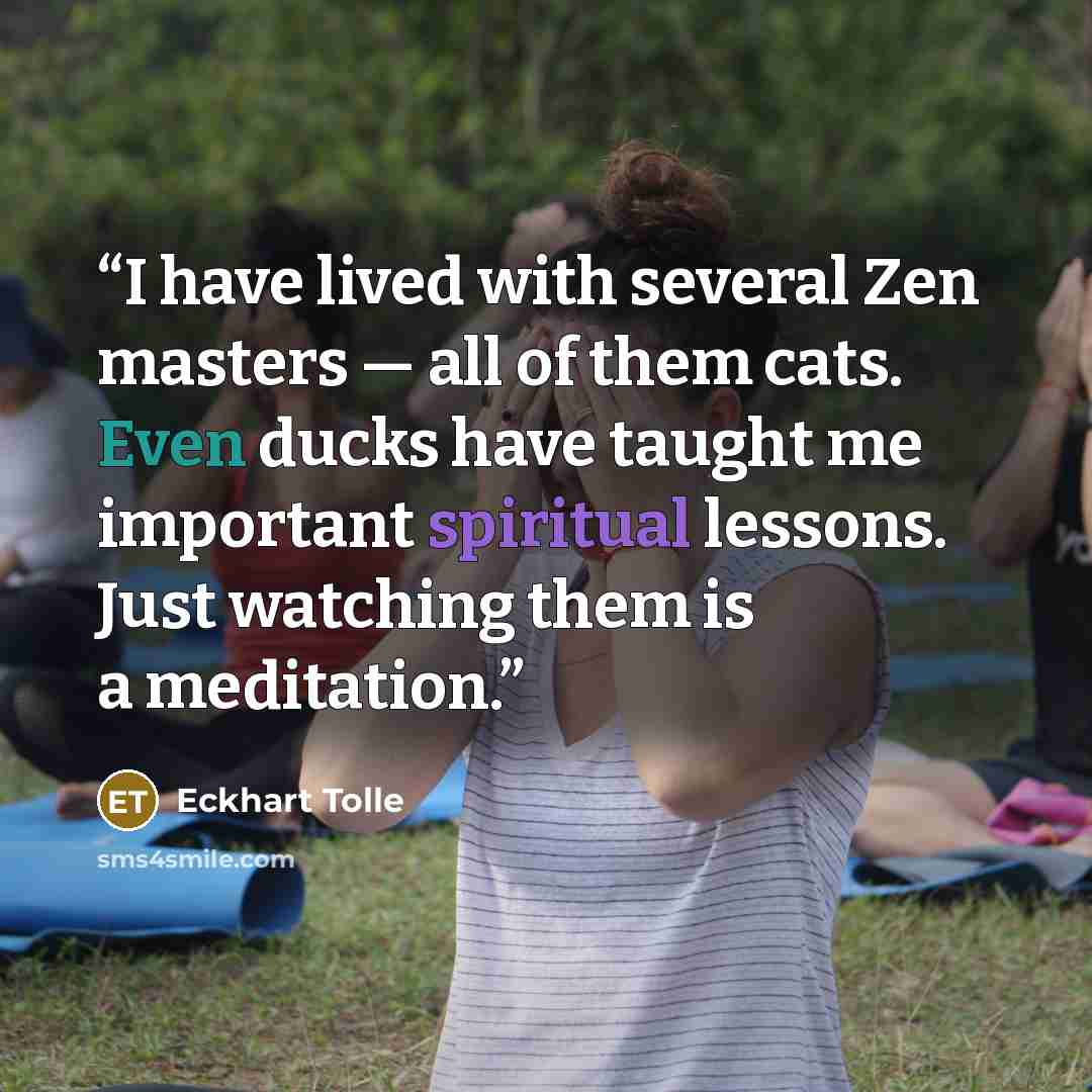 “I have lived with several Zen masters — all of them cats. Even ducks have taught me important spiritual lessons. Just watching them is a meditation.” quote by Eckhart Tolle