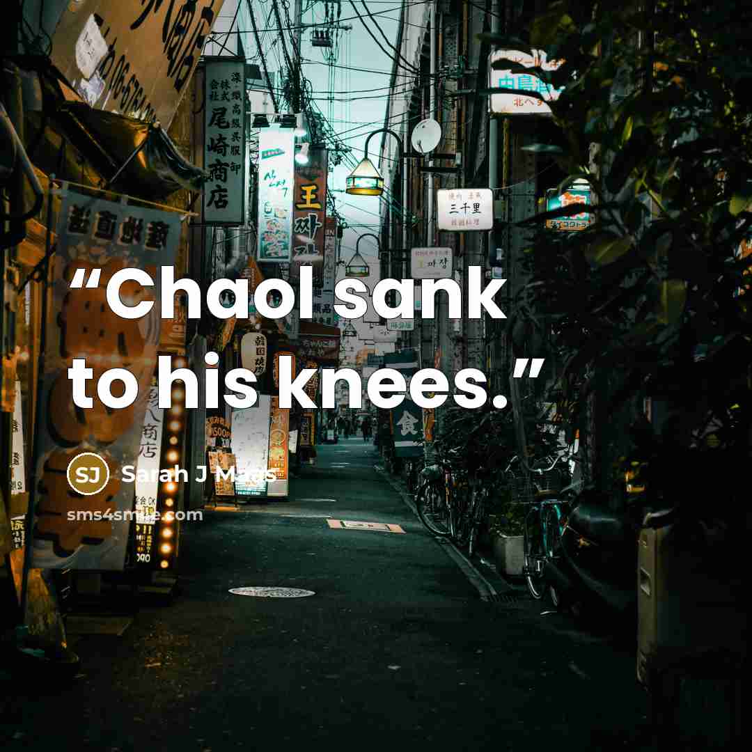 “Chaol sank to his knees.” quote by Sarah J Maas