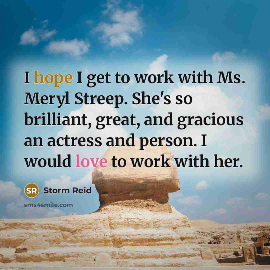“I hope I get to work with Ms. Meryl Streep. She's so brilliant, great, and gracious an actress and person. I would love to work with her.” quote by Storm Reid