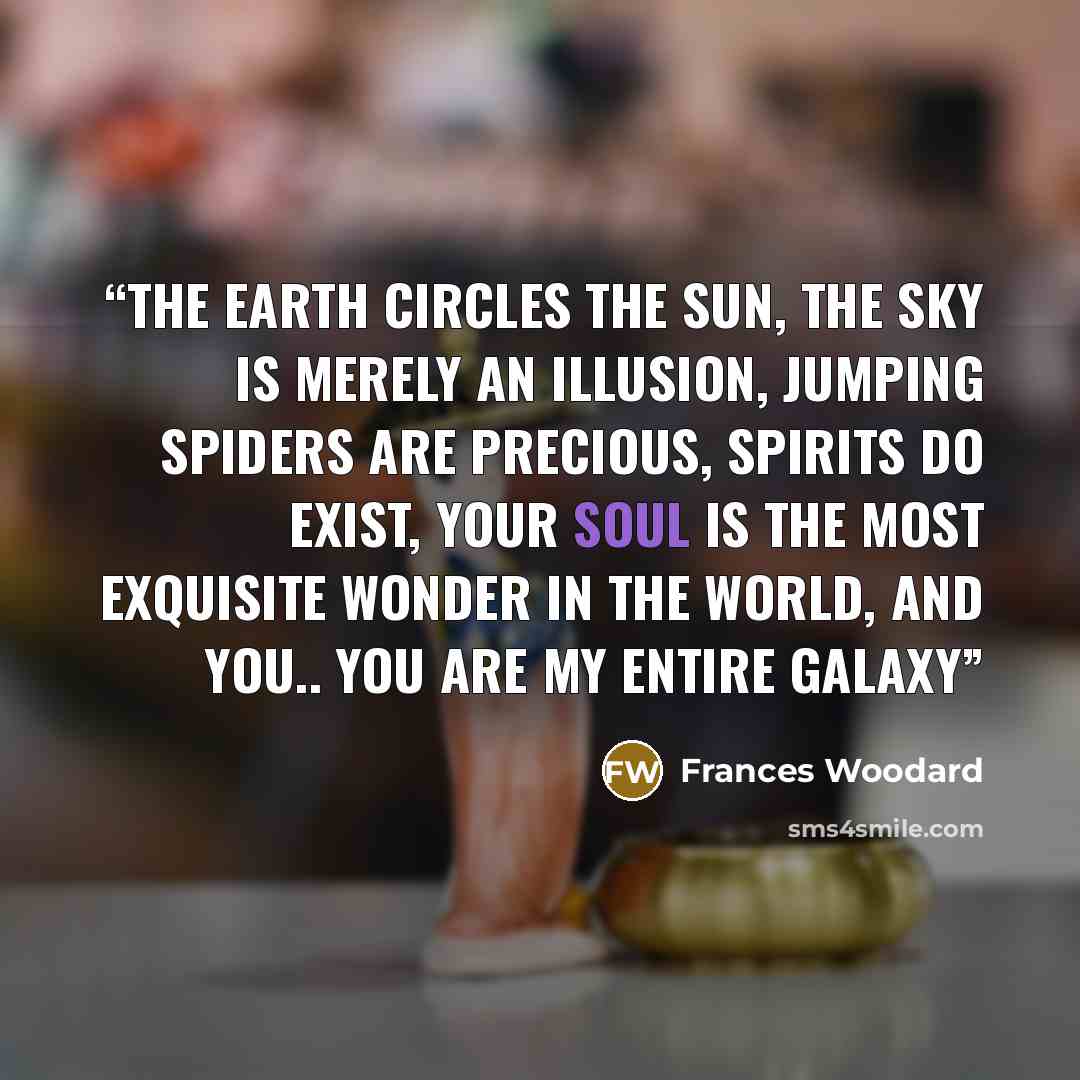 “The earth circles the sun, The sky is merely an illusion, Jumping spiders are precious, Spirits do exist, Your soul is the most exquisite wonder in the world, And you.. You are my entire galaxy” quote by Frances Woodard