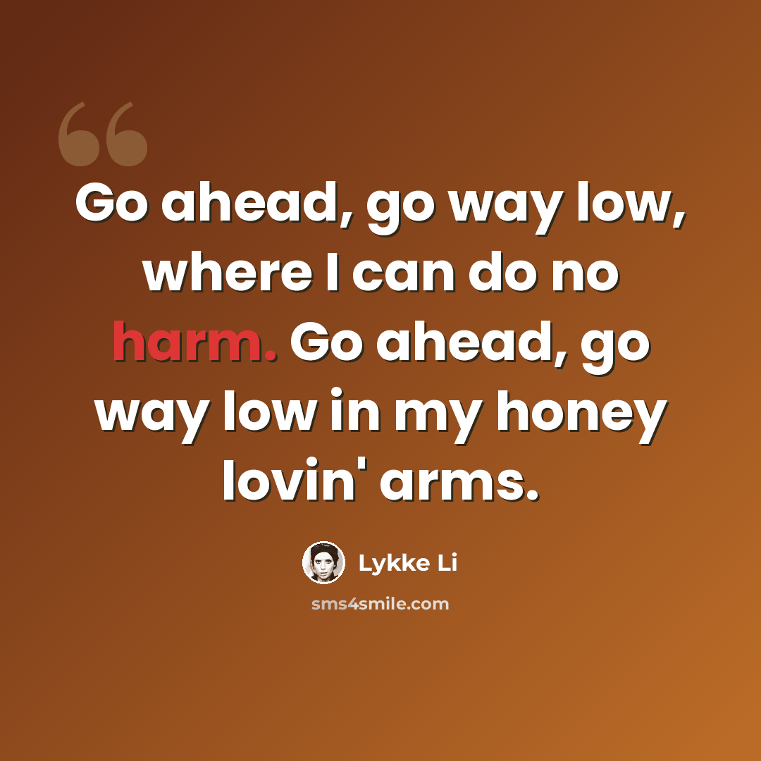“Go ahead, go way low, where I can do no harm. Go ahead, go way low in my honey lovin' arms.” quote by Lykke Li