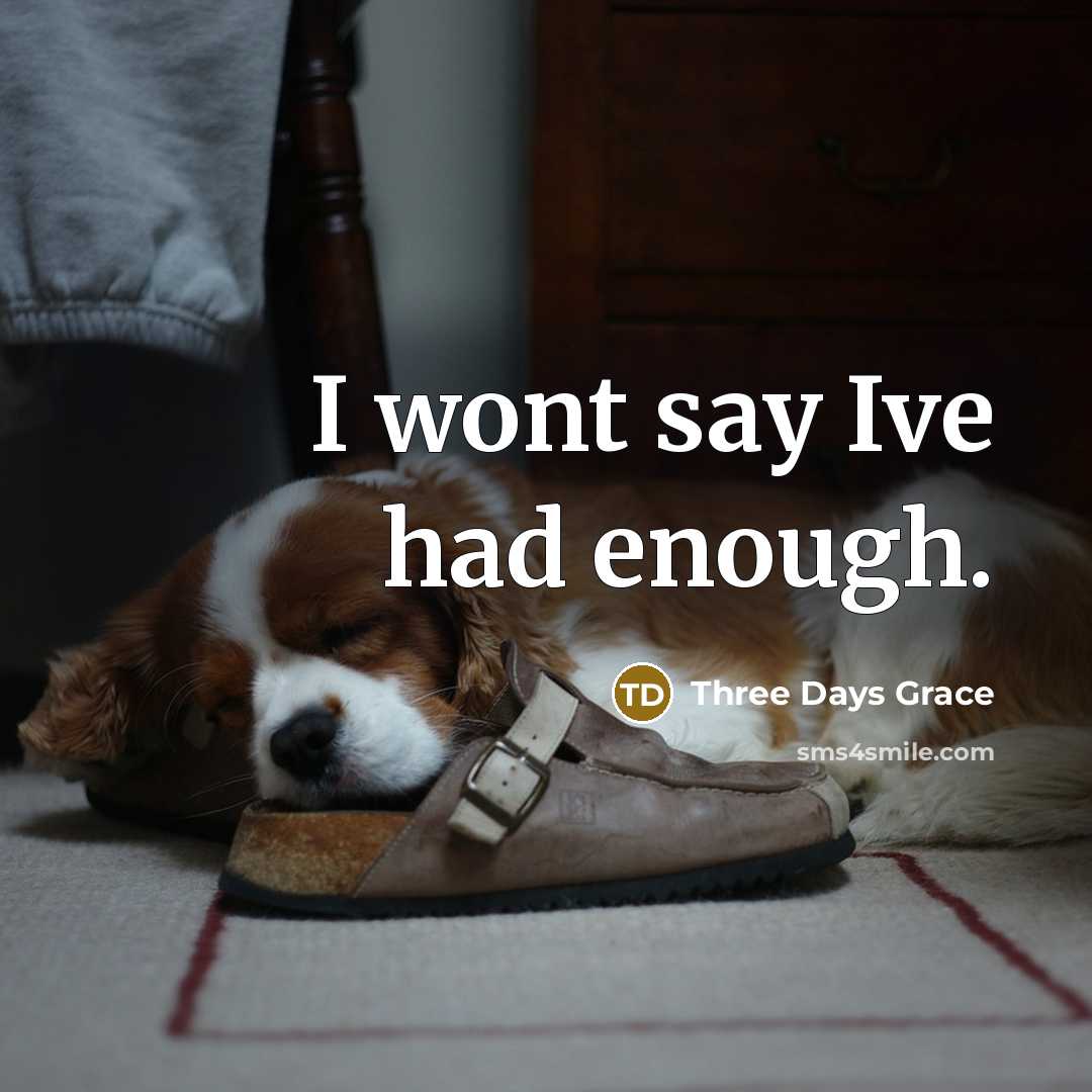 “I wont say Ive had enough.” quote by Three Days Grace