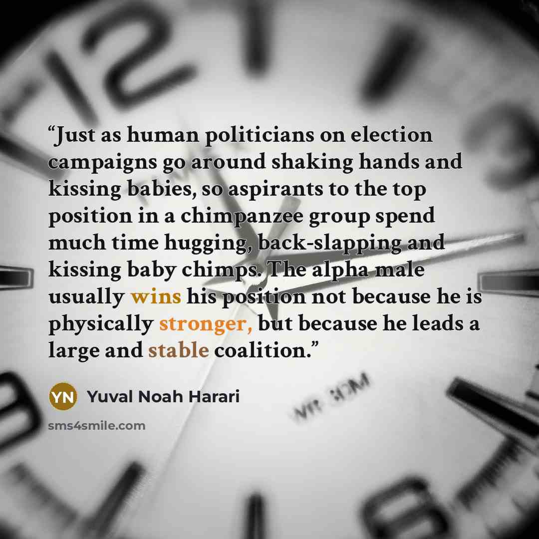 “Just as human politicians on election campaigns go around shaking hands and kissing babies, so aspirants to the top position in a chimpanzee group spend much time hugging, back-slapping and kissing baby chimps. The alpha male usually wins his position not because he is physically stronger, but…” quote by Yuval Noah Harari