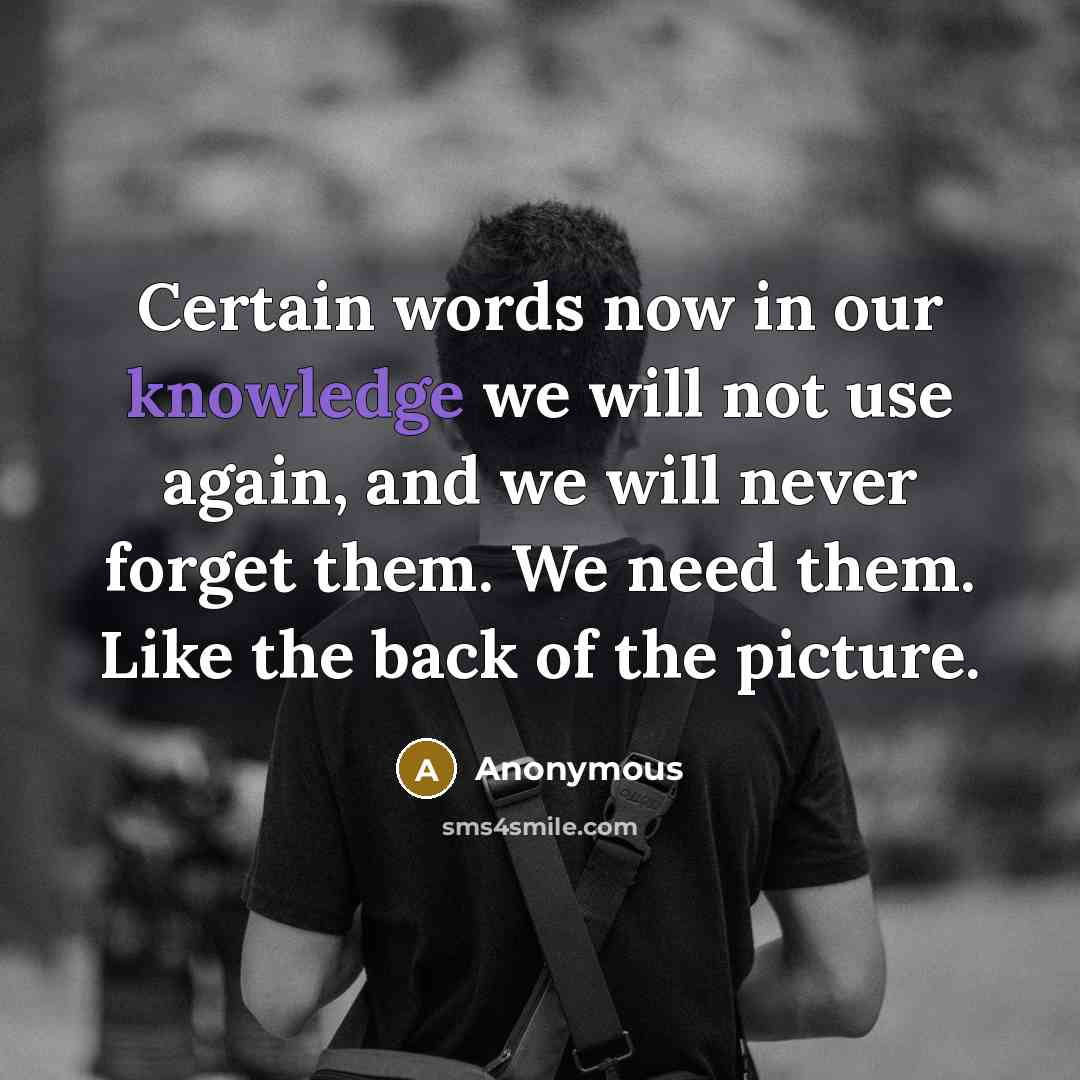 “Certain words now in our knowledge we will not use again, and we will never forget them. We need them. Like the back of the picture.” quote by Anonymous