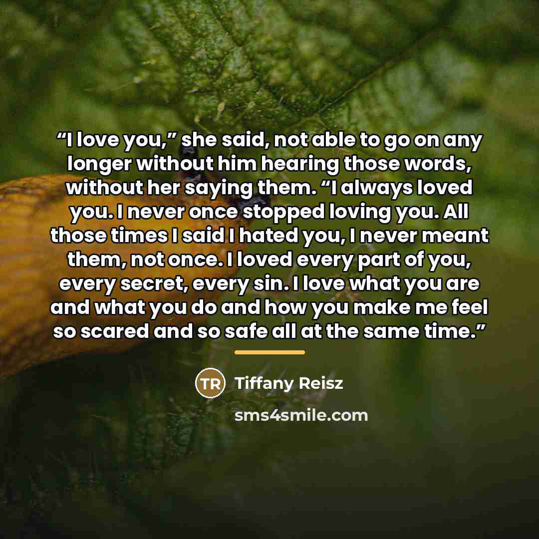 “I love you,” she said, not able to go on any longer without him hearing those words, without her saying them. “I always loved you. I never once stopped loving you. All those times I said I hated you, I never meant them, not once. I loved every part of you, every secret, every sin. I love what you…” quote by Tiffany Reisz