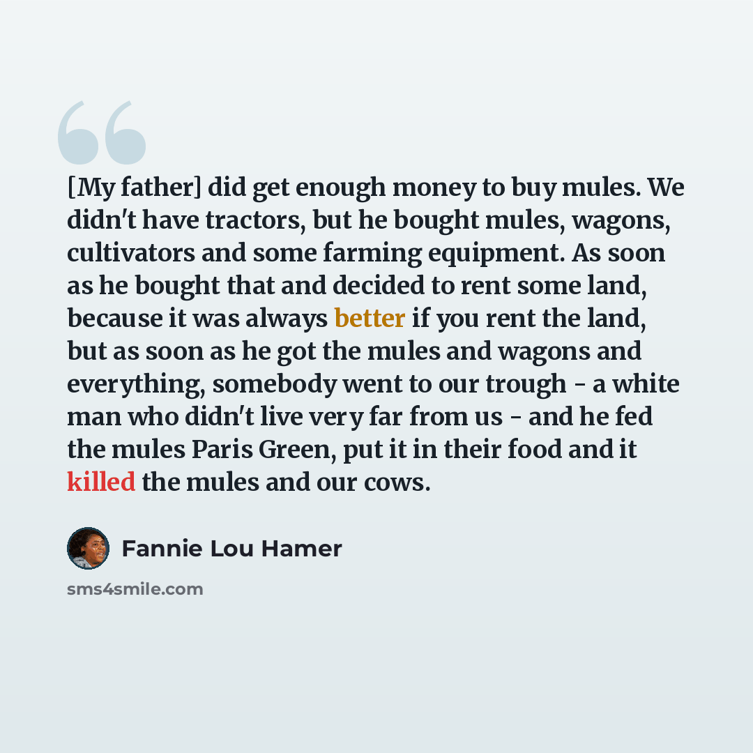 “[My father] did get enough money to buy mules. We didn't have tractors, but he bought mules, wagons, cultivators and some farming equipment. As soon as he bought that and decided to rent some land, because it was always better if you rent the land, but as soon as he got the mules and wagons and…” quote by Fannie Lou Hamer