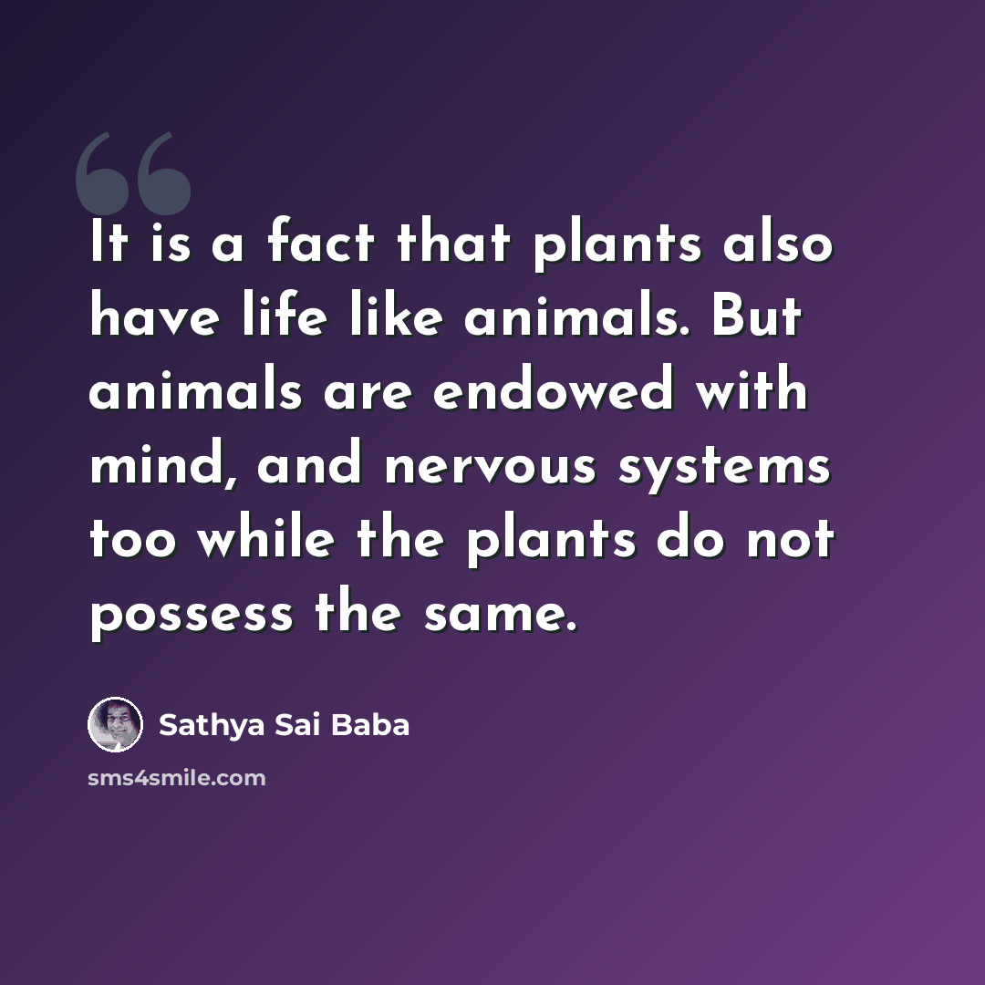 “It is a fact that plants also have life like animals. But animals are endowed with mind, and nervous systems too while the plants do not possess the same.” quote by Sathya Sai Baba