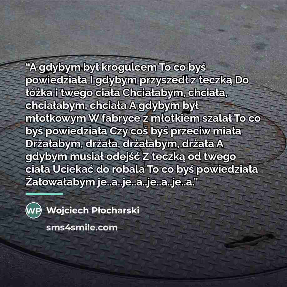 “A gdybym był krogulcem To co byś powiedziała I gdybym przyszedł z teczką Do łóżka i twego ciała Chciałabym, chciała, chciałabym, chciała A gdybym był młotkowym W fabryce z młotkiem szalał To co byś powiedziała Czy coś byś przeciw miała Drżałabym, drżała, drżałabym, drżała A gdybym musiał odejść Z…” quote by Wojciech Płocharski