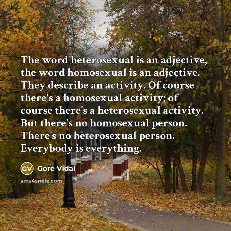 “The word heterosexual is an adjective, the word homosexual is an adjective. They describe an activity. Of course there's a homosexual activity; of course there's a heterosexual activity. But there's no homosexual person. There's no heterosexual person. Everybody is everything.” quote by Gore Vidal