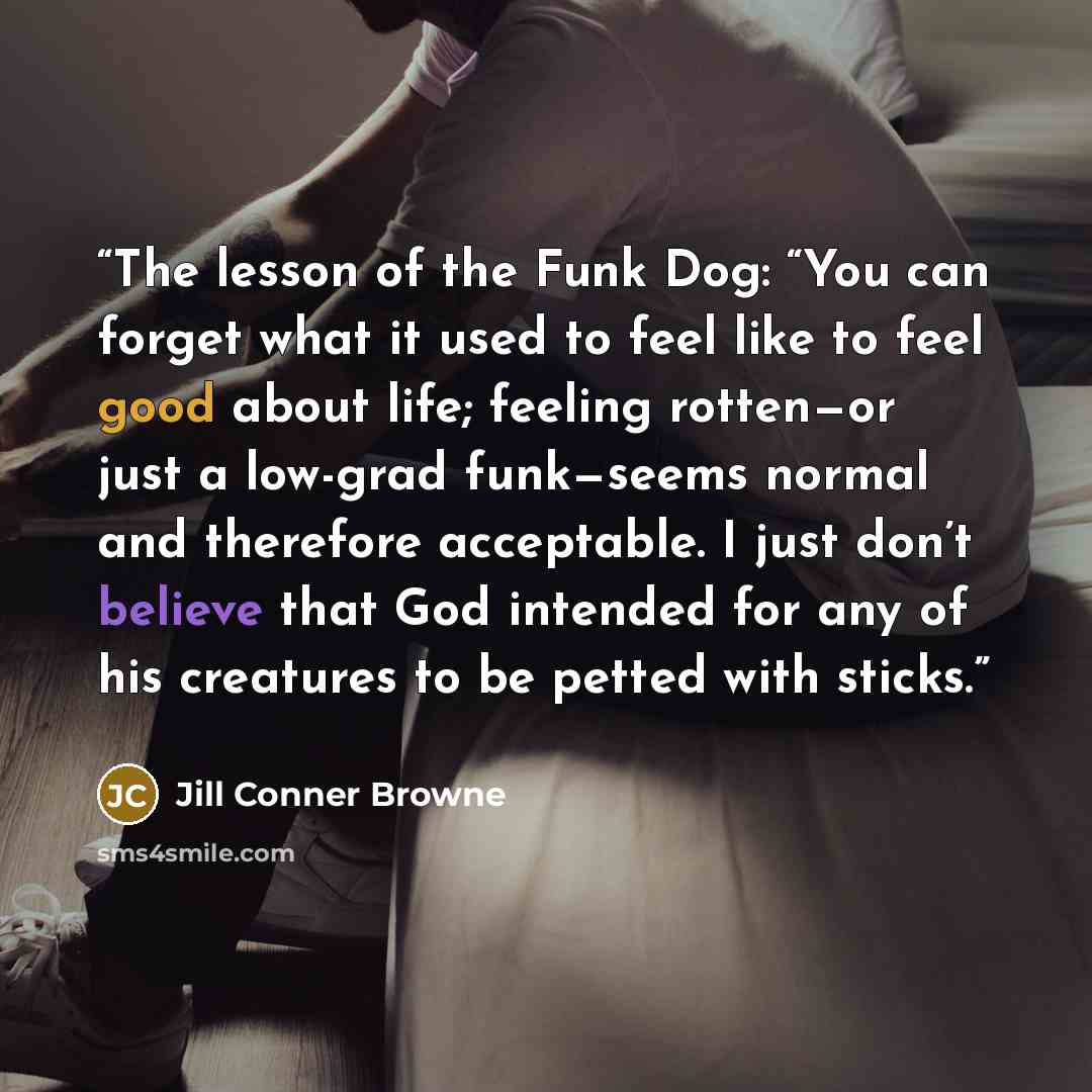 “The lesson of the Funk Dog: “You can forget what it used to feel like to feel good about life; feeling rotten—or just a low-grad funk—seems normal and therefore acceptable. I just don’t believe that God intended for any of his creatures to be petted with sticks.” quote by Jill Conner Browne