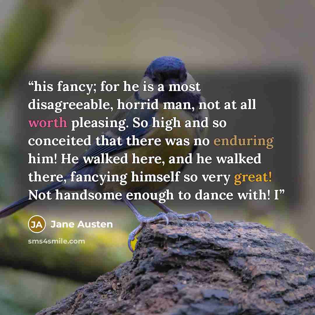 “his fancy; for he is a most disagreeable, horrid man, not at all worth pleasing. So high and so conceited that there was no enduring him! He walked here, and he walked there, fancying himself so very great! Not handsome enough to dance with! I” quote by Jane Austen