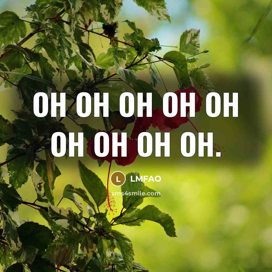 “Oh oh oh oh oh oh oh oh oh.” quote by Lmfao