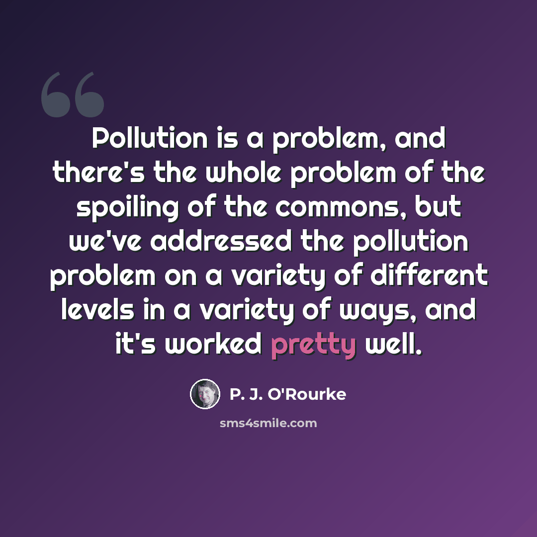 “Pollution is a problem, and there's the whole problem of the spoiling of the commons, but we've addressed the pollution problem on a variety of different levels in a variety of ways, and it's worked pretty well.” quote by P. J. O'Rourke