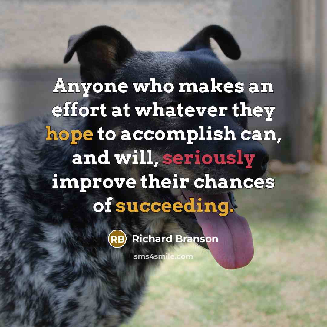 “Anyone who makes an effort at whatever they hope to accomplish can, and will, seriously improve their chances of succeeding.” quote by Richard Branson