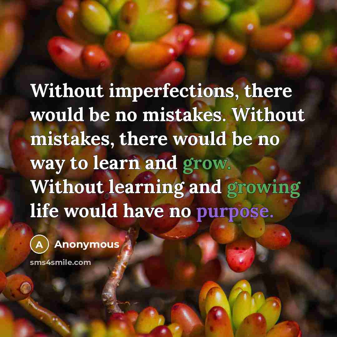 “Without imperfections, there would be no mistakes. Without mistakes, there would be no way to learn and grow. Without learning and growing life would have no purpose.” quote by Anonymous
