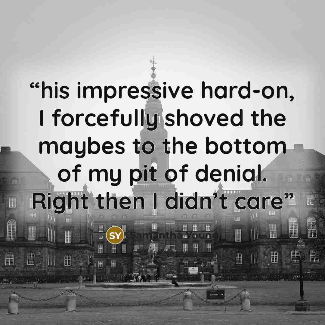 “his impressive hard-on, I forcefully shoved the maybes to the bottom of my pit of denial. Right then I didn’t care” quote by Samantha Young