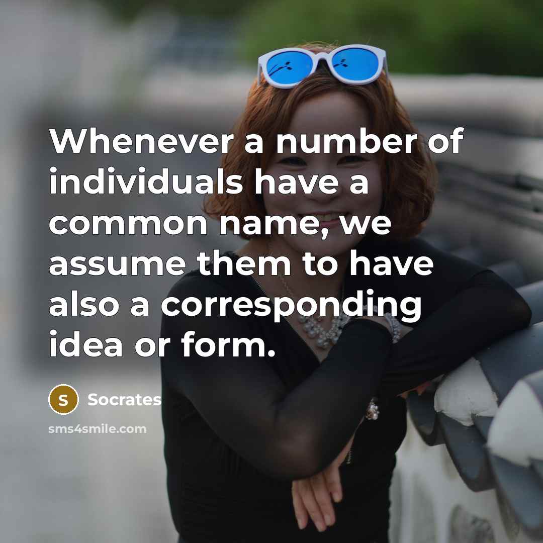 “Whenever a number of individuals have a common name, we assume them to have also a corresponding idea or form.” quote by Socrates
