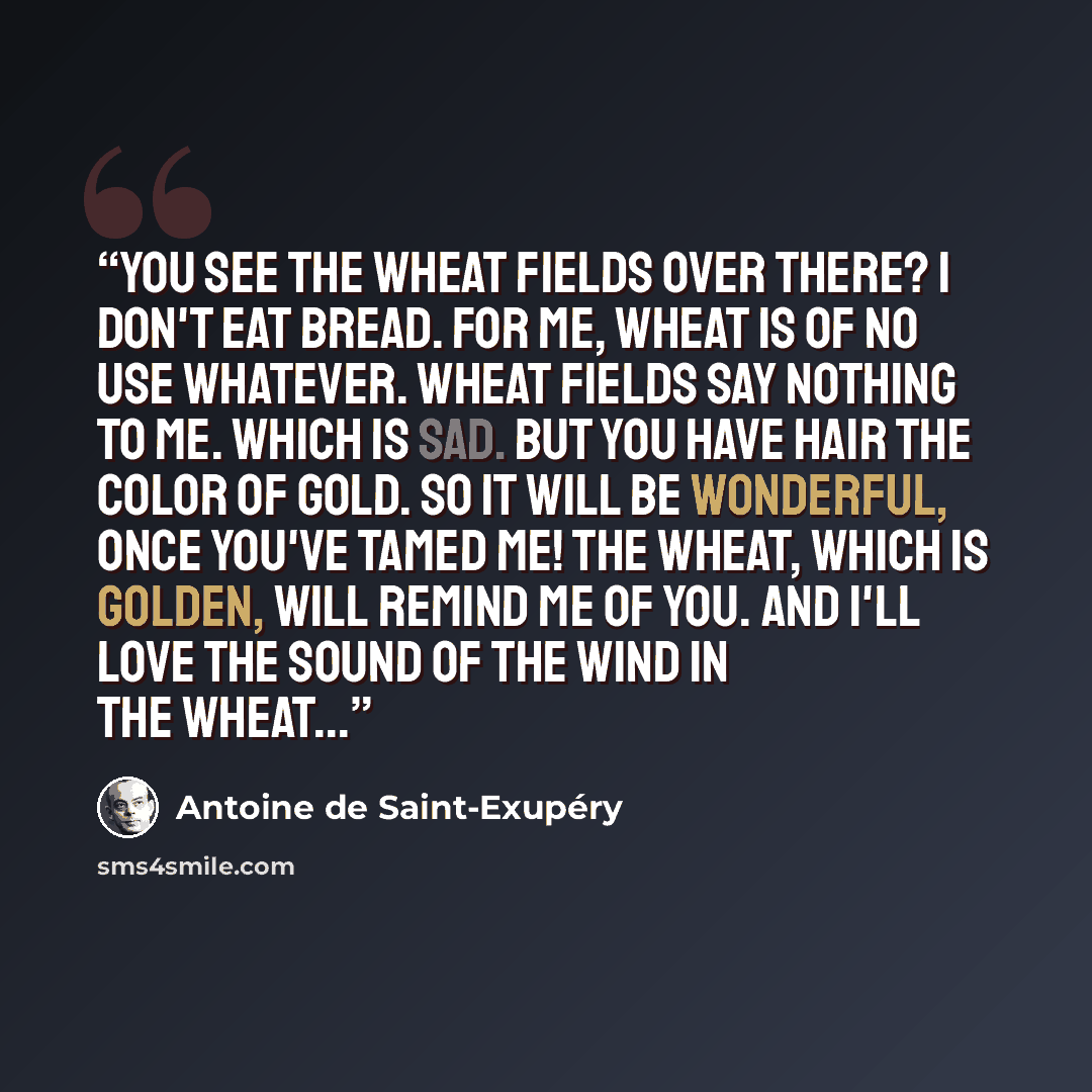 “You see the wheat fields over there? I don't eat bread. For me, wheat is of no use whatever. Wheat fields say nothing to me. Which is sad. But you have hair the color of gold. So it will be wonderful, once you've tamed me! The wheat, which is golden, will remind me of you. And I'll love the sound…” quote by Antoine de Saint-Exupéry