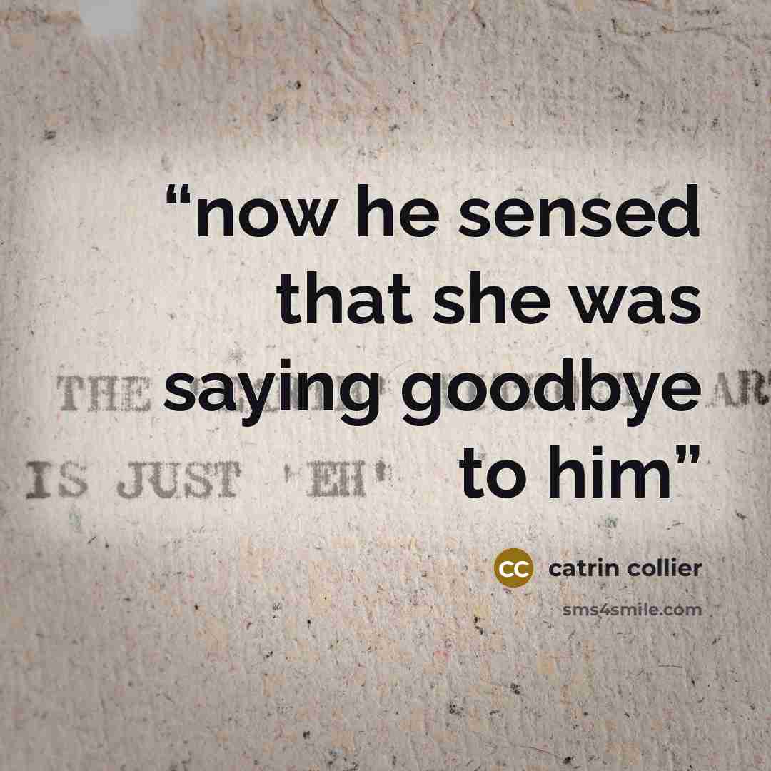 “now he sensed that she was saying goodbye to him” quote by Catrin Collier