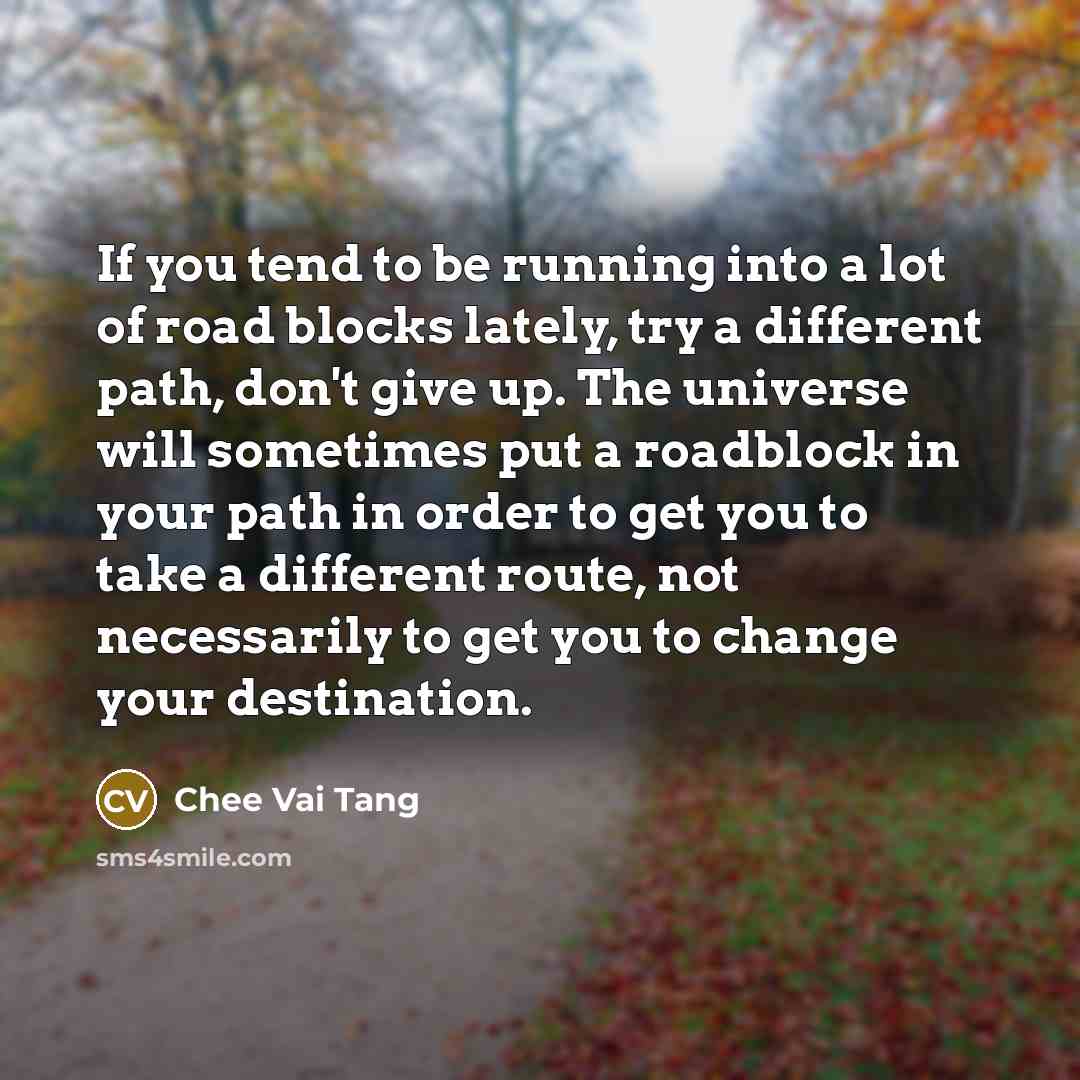 “If you tend to be running into a lot of road blocks lately, try a different path, don't give up. The universe will sometimes put a roadblock in your path in order to get you to take a different route, not necessarily to get you to change your destination.” quote by Chee Vai Tang