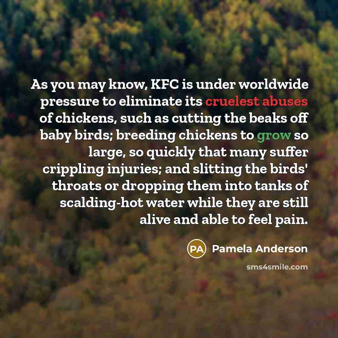 “As you may know, KFC is under worldwide pressure to eliminate its cruelest abuses of chickens, such as cutting the beaks off baby birds; breeding chickens to grow so large, so quickly that many suffer crippling injuries; and slitting the birds' throats or dropping them into tanks of scalding-hot…” quote by Pamela Anderson