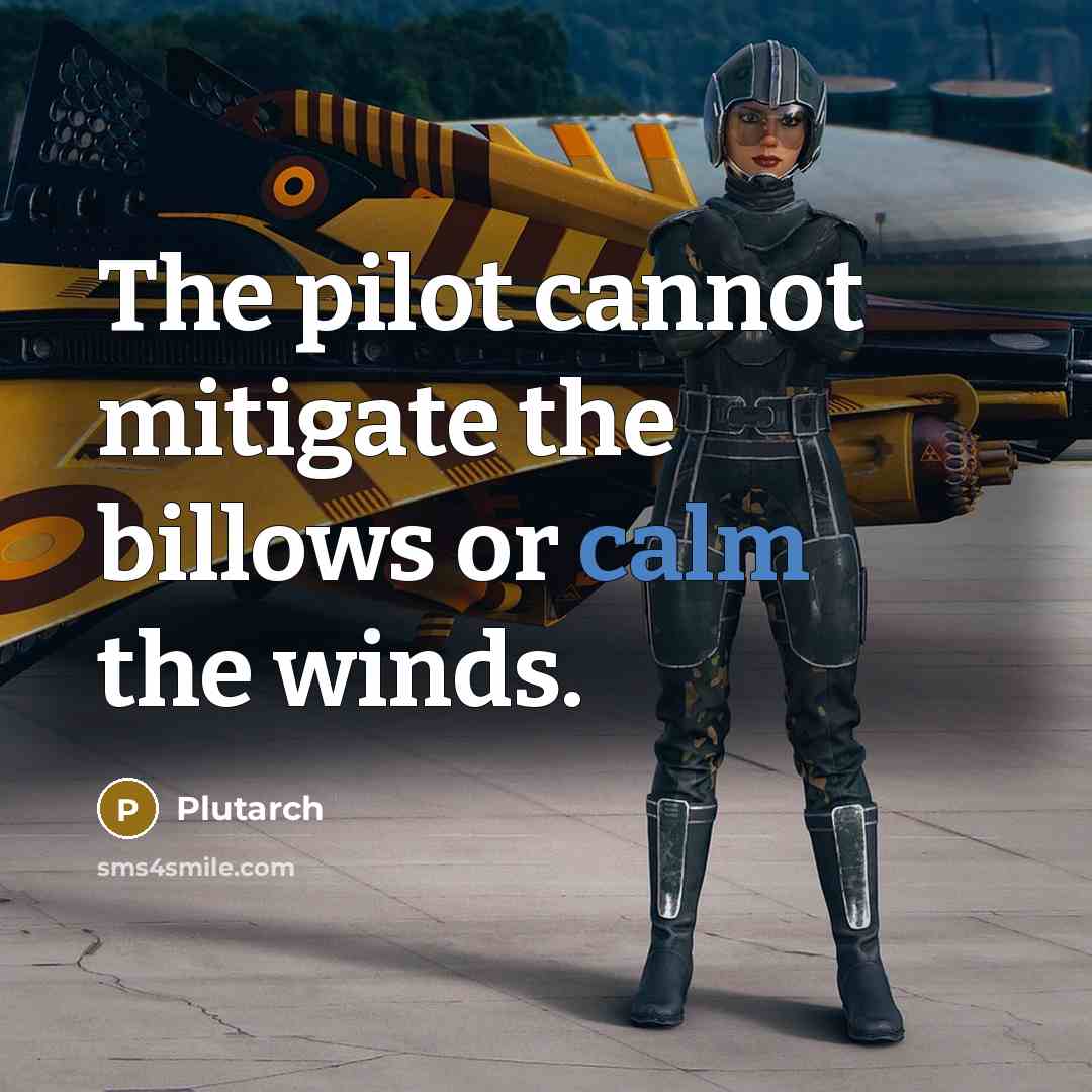“The pilot cannot mitigate the billows or calm the winds.” quote by Plutarch