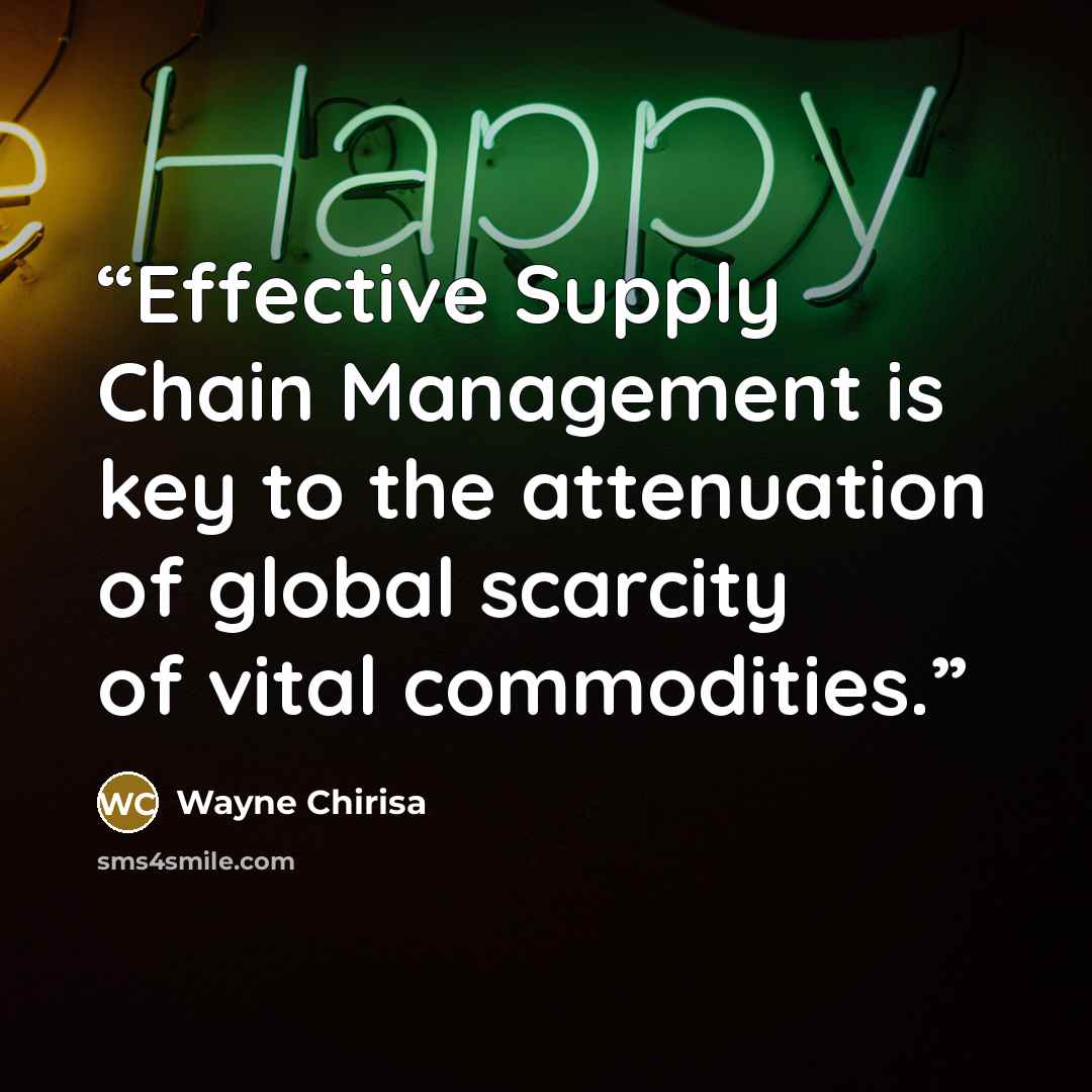 “Effective Supply Chain Management is key to the attenuation of global scarcity of vital commodities.” quote by Wayne Chirisa
