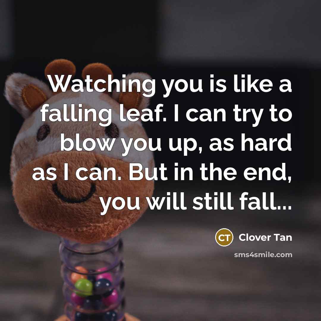 “Watching you is like a falling leaf. I can try to blow you up, as hard as I can. But in the end, you will still fall...” quote by Clover Tan