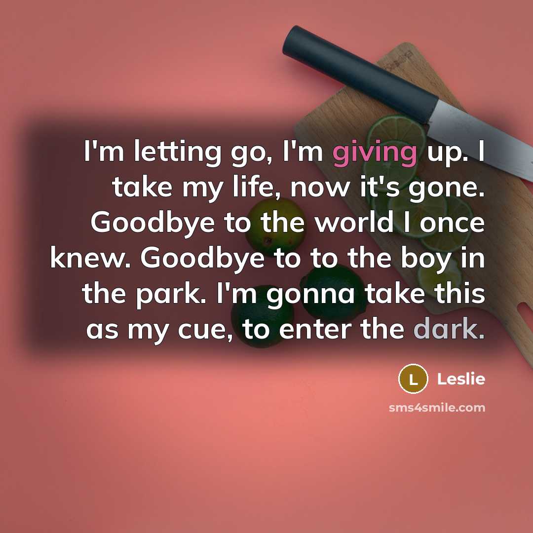 “I'm letting go, I'm giving up. I take my life, now it's gone. Goodbye to the world I once knew. Goodbye to to the boy in the park. I'm gonna take this as my cue, to enter the dark.” quote by Leslie