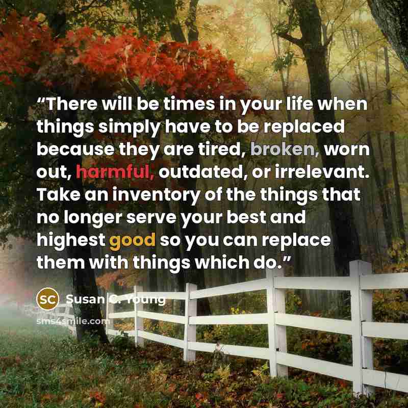 “There will be times in your life when things simply have to be replaced because they are tired, broken, worn out, harmful, outdated, or irrelevant. Take an inventory of the things that no longer serve your best and highest good so you can replace them with things which do.” quote by Susan C. Young