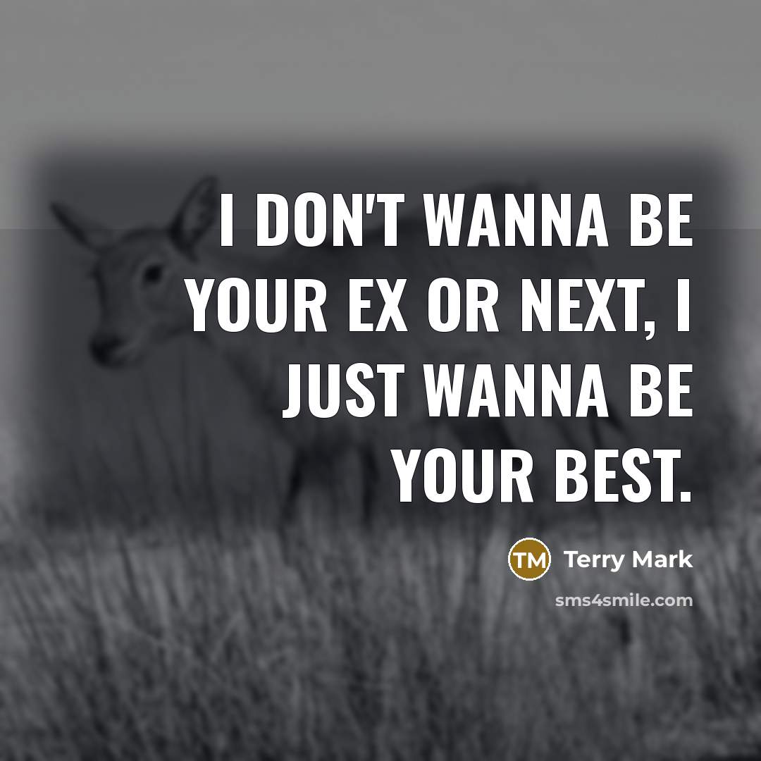 “I don't wanna be your Ex or Next, I just wanna be your best.” quote by Terry Mark