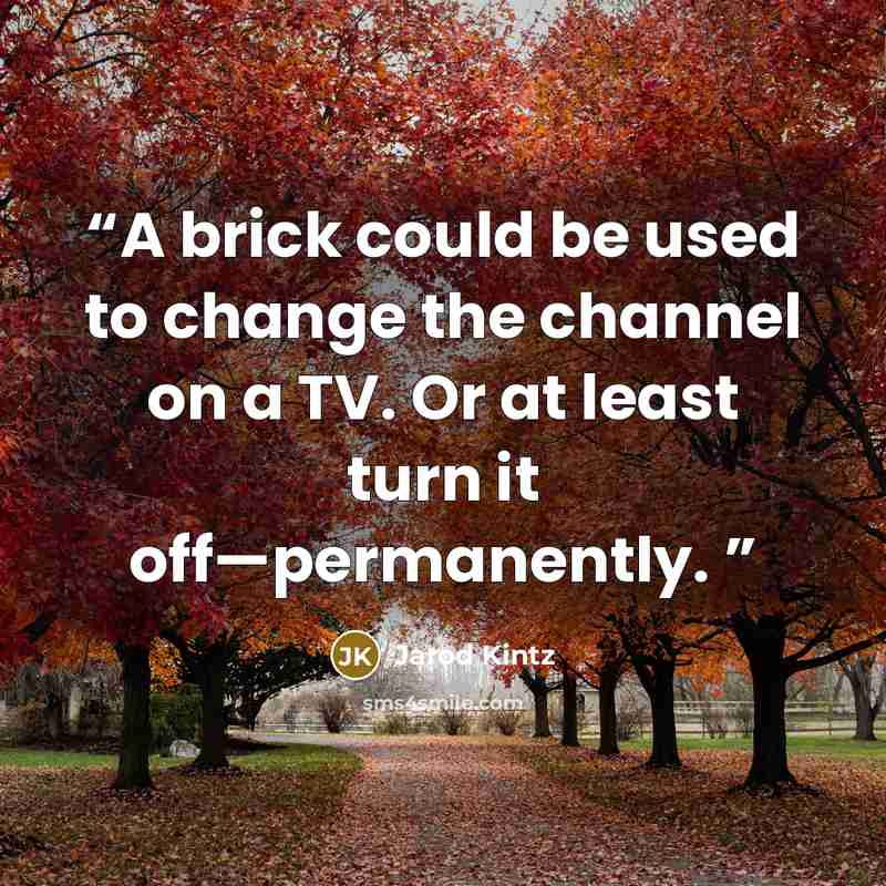 “A brick could be used to change the channel on a TV. Or at least turn it off—permanently.” quote by Jarod Kintz