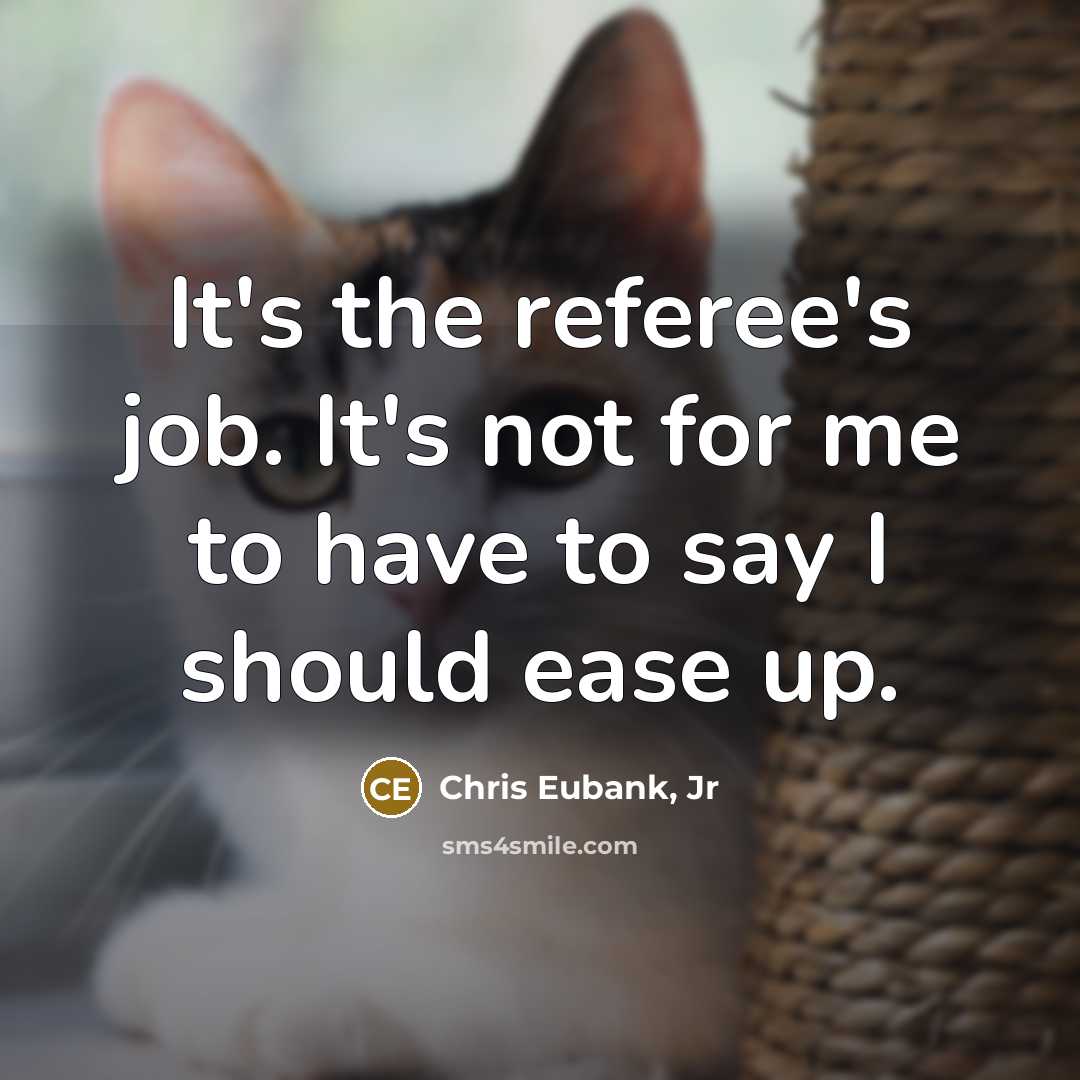 “It's the referee's job. It's not for me to have to say I should ease up.” quote by Chris Eubank, Jr