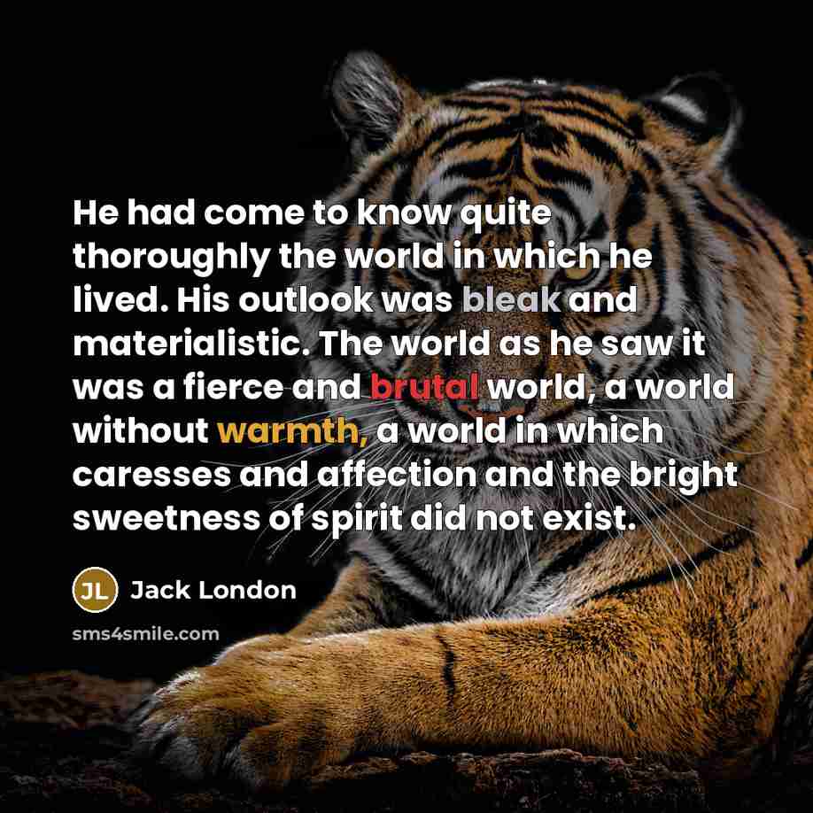 “He had come to know quite thoroughly the world in which he lived. His outlook was bleak and materialistic. The world as he saw it was a fierce and brutal world, a world without warmth, a world in which caresses and affection and the bright sweetness of spirit did not exist.” quote by Jack London