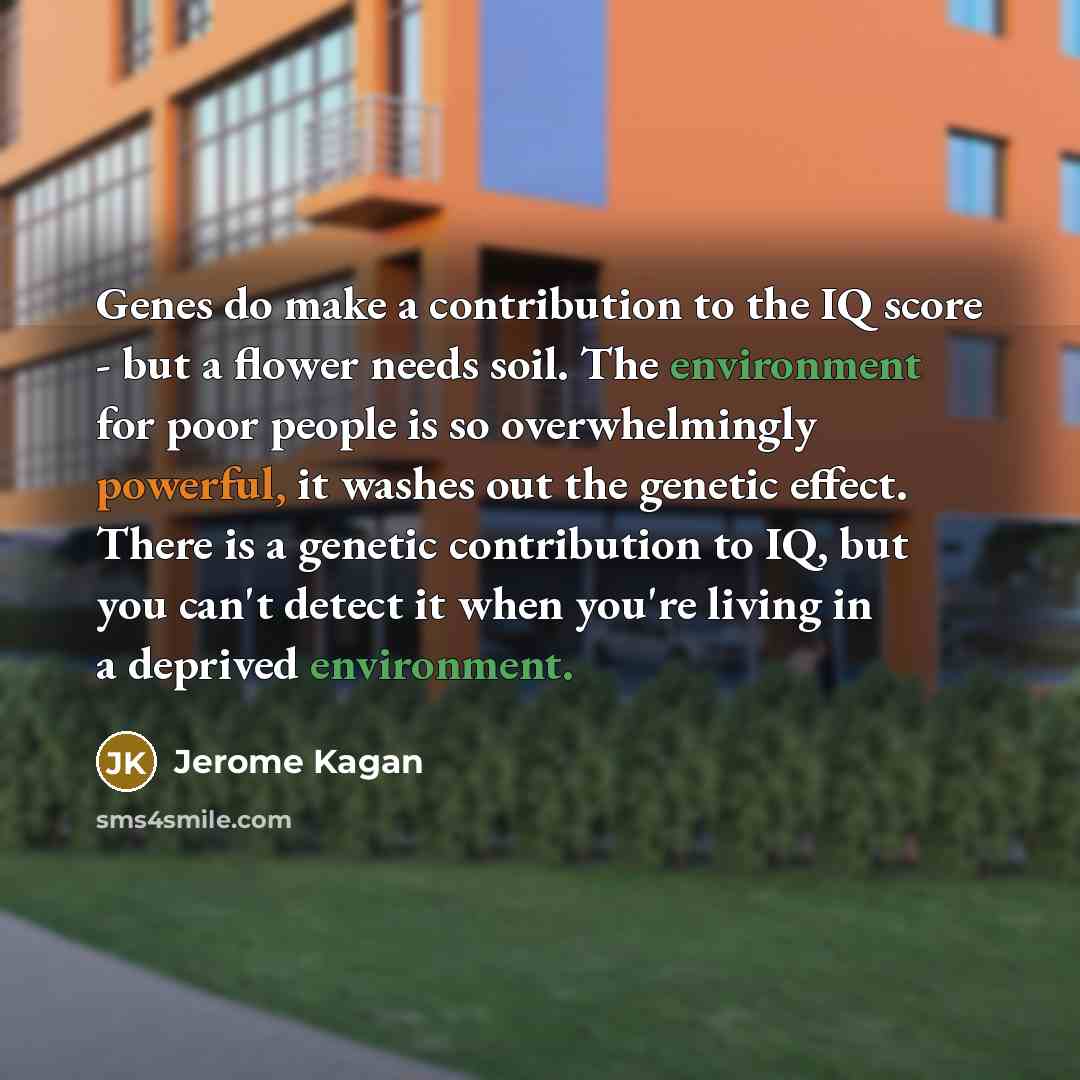 “Genes do make a contribution to the IQ score - but a flower needs soil. The environment for poor people is so overwhelmingly powerful, it washes out the genetic effect. There is a genetic contribution to IQ, but you can't detect it when you're living in a deprived environment.” quote by Jerome Kagan