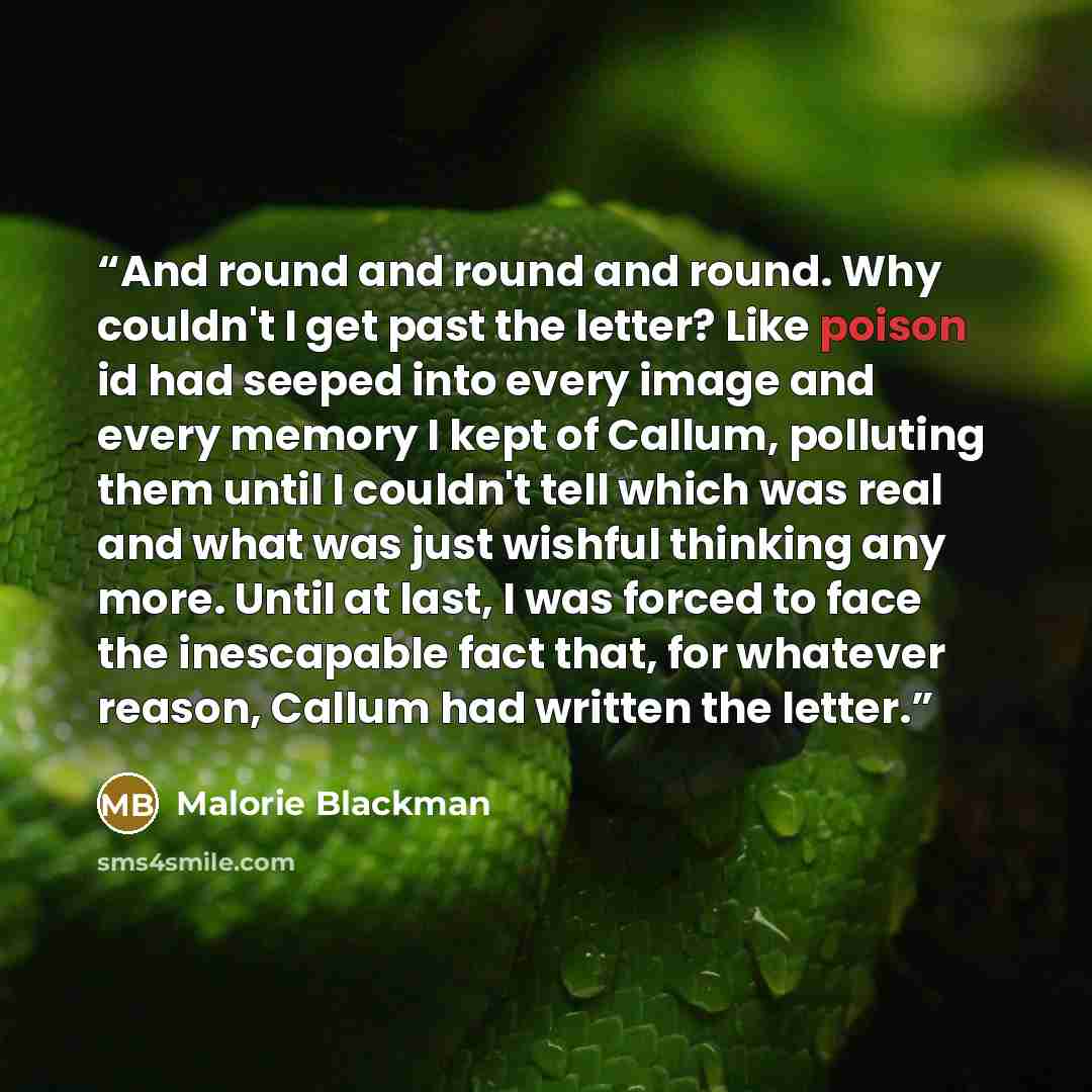 “And round and round and round. Why couldn't I get past the letter? Like poison id had seeped into every image and every memory I kept of Callum, polluting them until I couldn't tell which was real and what was just wishful thinking any more. Until at last, I was forced to face the inescapable fact…” quote by Malorie Blackman