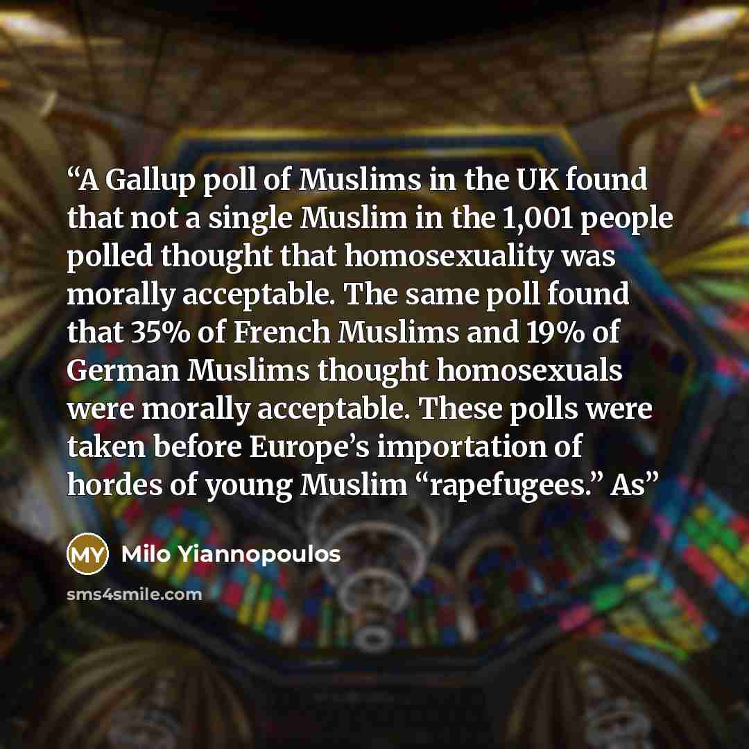 “A Gallup poll of Muslims in the UK found that not a single Muslim in the 1,001 people polled thought that homosexuality was morally acceptable. The same poll found that 35% of French Muslims and 19% of German Muslims thought homosexuals were morally acceptable. These polls were taken before…” quote by Milo Yiannopoulos