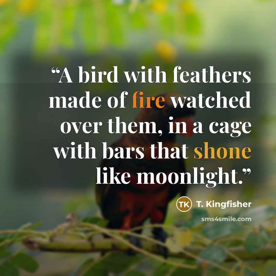 “A bird with feathers made of fire watched over them, in a cage with bars that shone like moonlight.” quote by T. Kingfisher