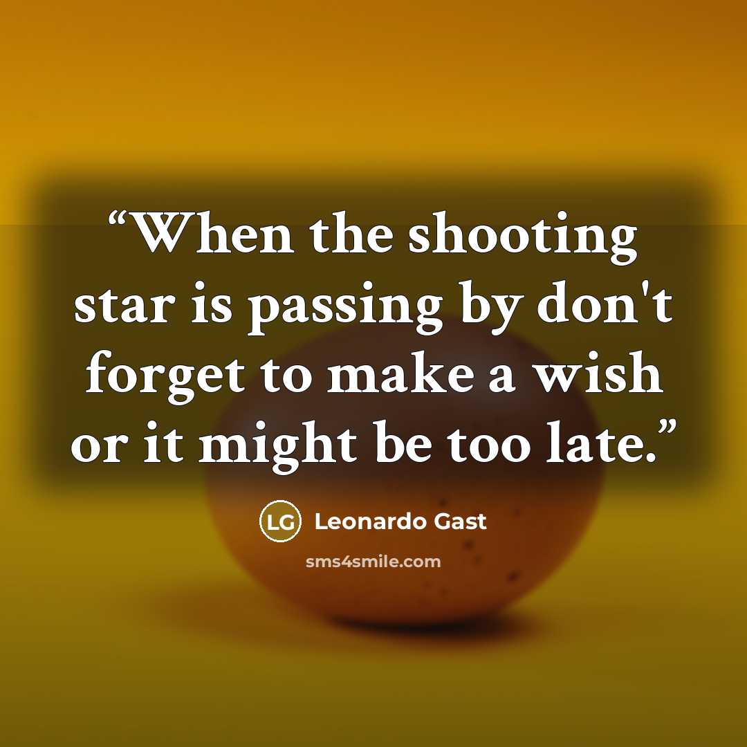 “When the shooting star is passing by don't forget to make a wish or it might be too late.” quote by Leonardo Gast
