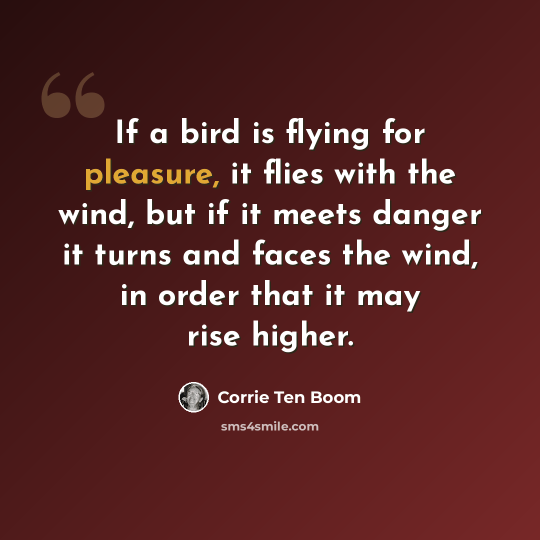 “If a bird is flying for pleasure, it flies with the wind, but if it meets danger it turns and faces the wind, in order that it may rise higher.” quote by Corrie Ten Boom