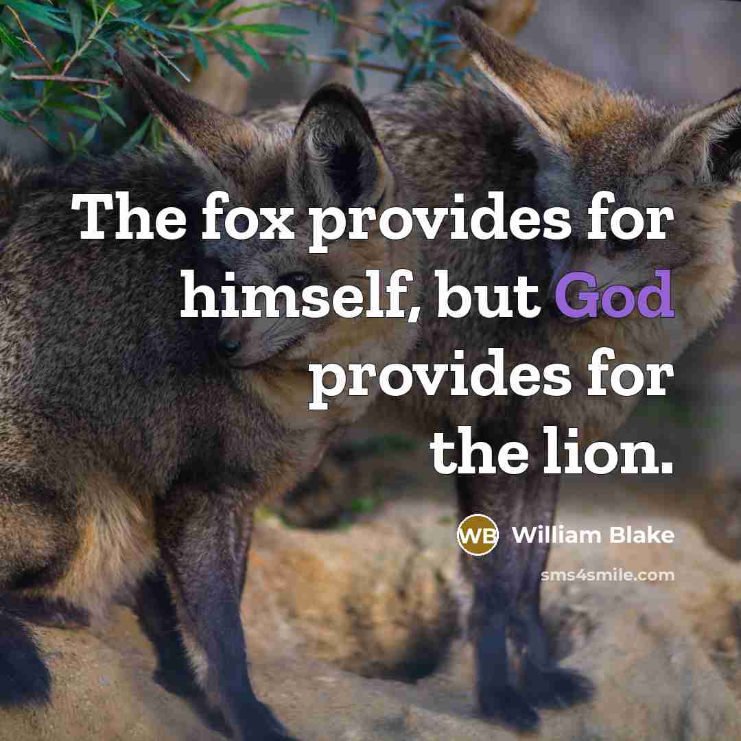 “The fox provides for himself, but God provides for the lion.” quote by William Blake