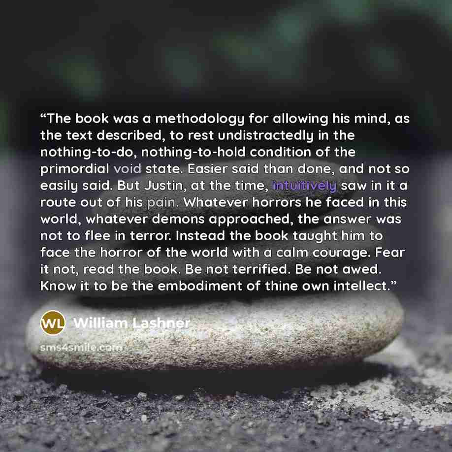 “The book was a methodology for allowing his mind, as the text described, to rest undistractedly in the nothing-to-do, nothing-to-hold condition of the primordial void state. Easier said than done, and not so easily said. But Justin, at the time, intuitively saw in it a route out of his pain…” quote by William Lashner